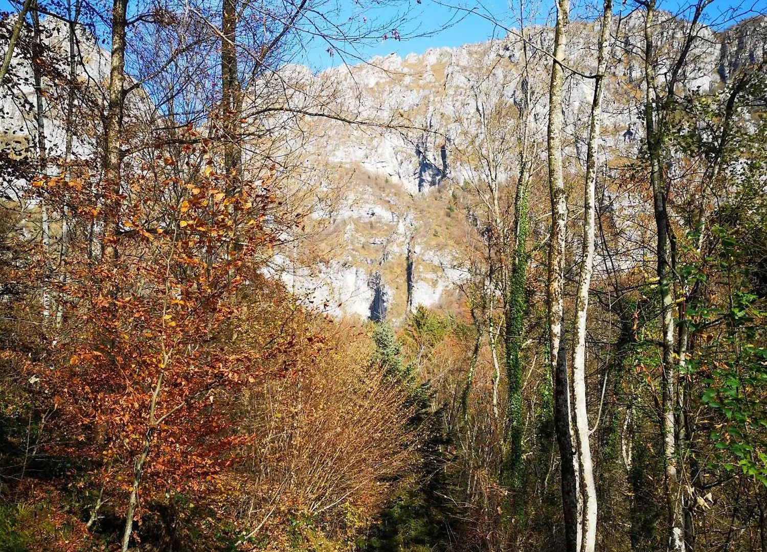 Ferienwohnung Casa Zefira Feltre 0*,
